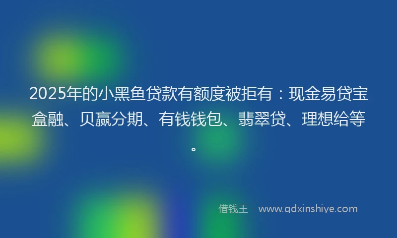 2025年的小黑鱼贷款有额度被拒有：现金易贷宝盒融、贝赢分期、有钱钱包、翡翠贷、理想给等。