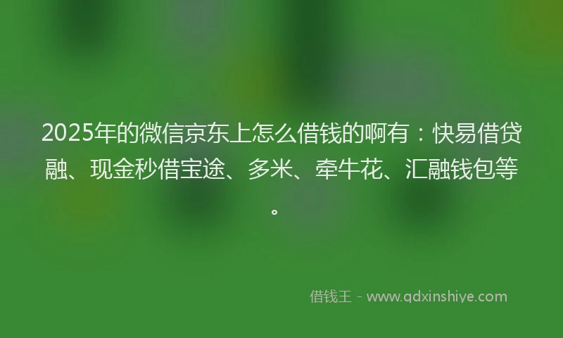 2025年的微信京东上怎么借钱的啊有：快易借贷融、现金秒借宝途、多米、牵牛花、汇融钱包等。