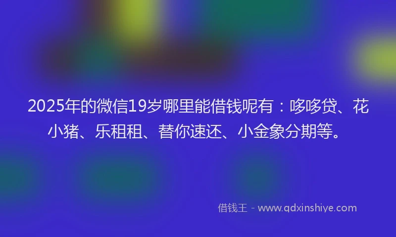 2025年的微信19岁哪里能借钱呢有：哆哆贷、花小猪、乐租租、替你速还、小金象分期等。