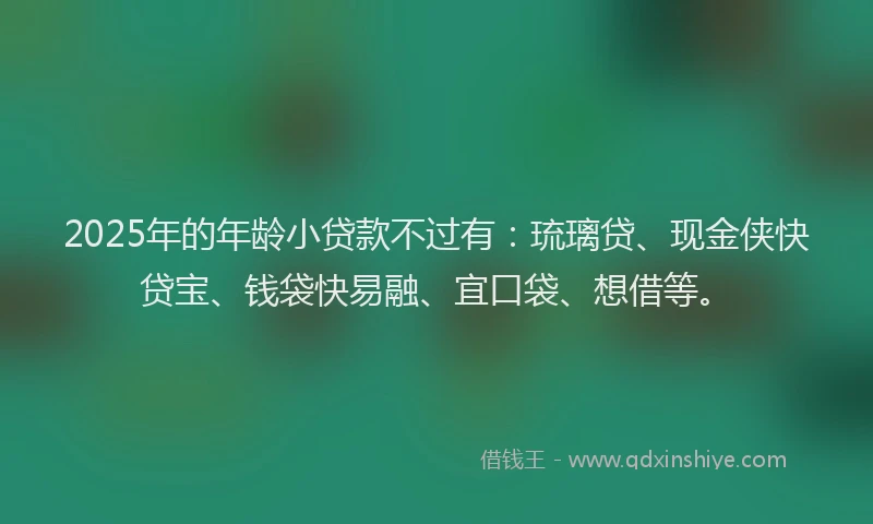 2025年的年龄小贷款不过有：琉璃贷、现金侠快贷宝、钱袋快易融、宜口袋、想借等。
