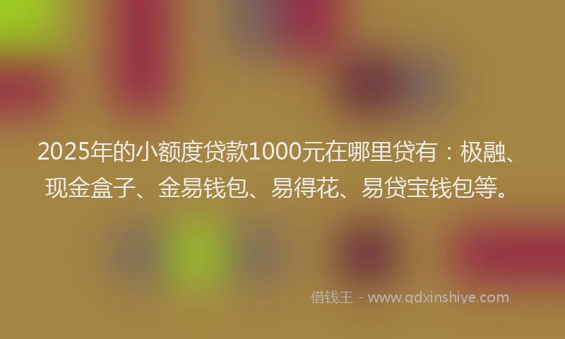 2025年的小额度贷款1000元在哪里贷有：极融、现金盒子、金易钱包、易得花、易贷宝钱包等。