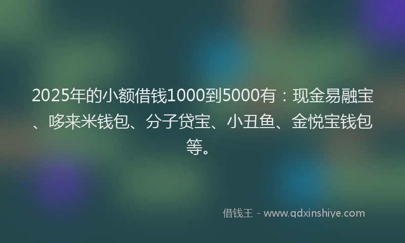 2025年的小额借钱1000到5000有：现金易融宝、哆来米钱包、分子贷宝、小丑鱼、金悦宝钱包等。
