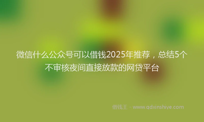 微信什么公众号可以借钱2025年推荐，总结5个不审核夜间直接放款的网贷平台