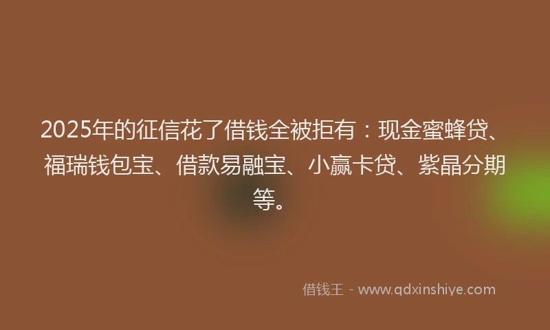 2025年的征信花了借钱全被拒有：现金蜜蜂贷、福瑞钱包宝、借款易融宝、小赢卡贷、紫晶分期等。