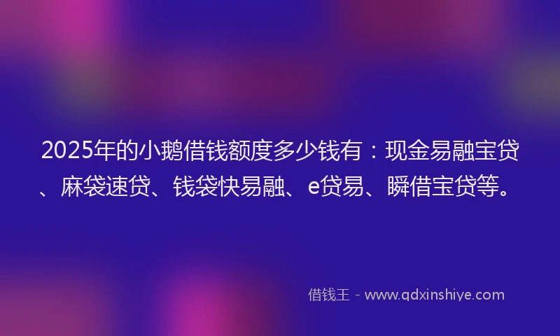 2025年的小鹅借钱额度多少钱有：现金易融宝贷、麻袋速贷、钱袋快易融、e贷易、瞬借宝贷等。