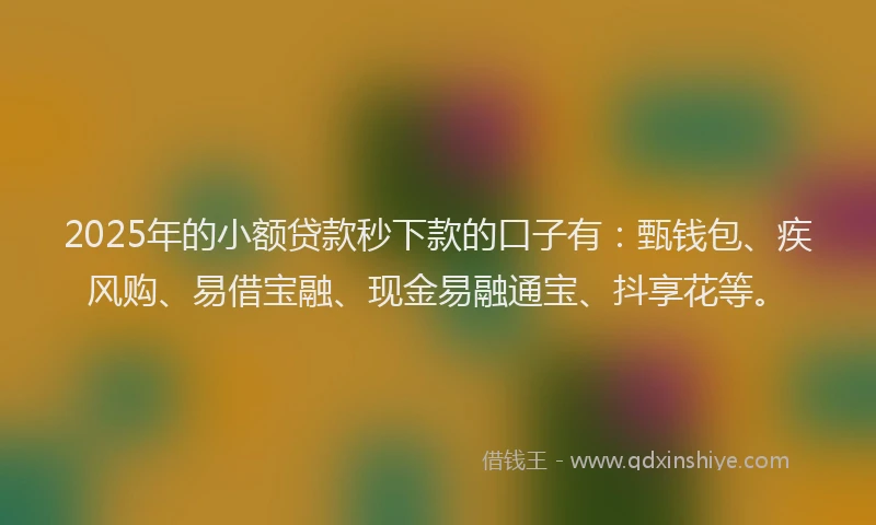 2025年的小额贷款秒下款的口子有：甄钱包、疾风购、易借宝融、现金易融通宝、抖享花等。