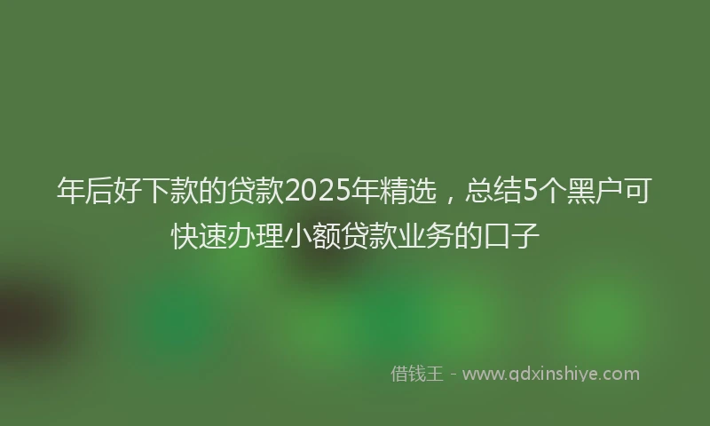 年后好下款的贷款2025年精选，总结5个黑户可快速办理小额贷款业务的口子