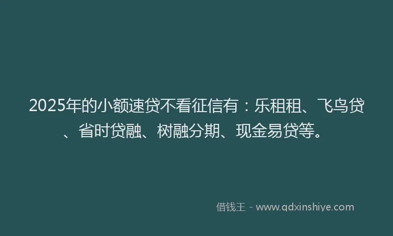 2025年的小额速贷不看征信有：乐租租、飞鸟贷、省时贷融、树融分期、现金易贷等。