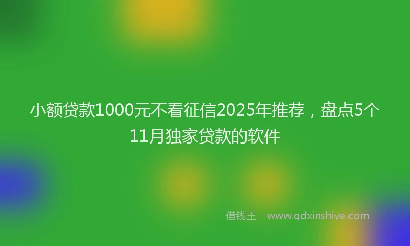 小额贷款1000元不看征信2025年推荐，盘点5个11月独家贷款的软件
