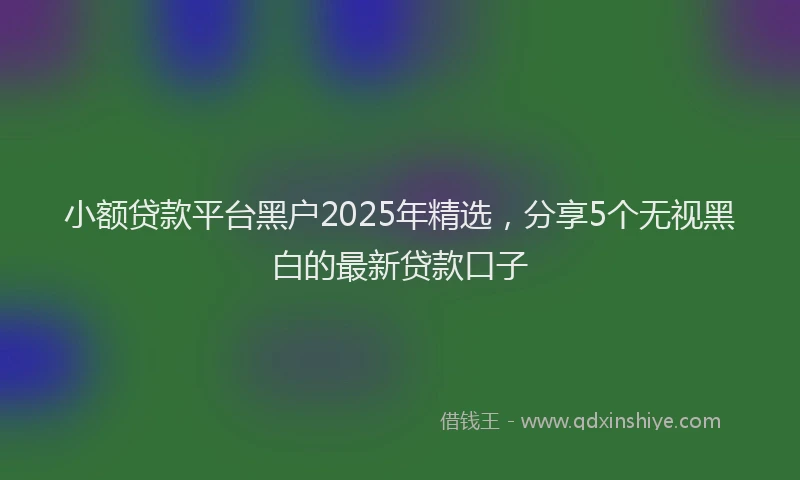 小额贷款平台黑户2025年精选，分享5个无视黑白的最新贷款口子