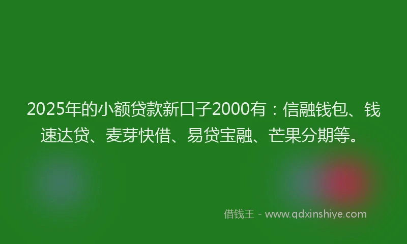 2025年的小额贷款新口子2000有：信融钱包、钱速达贷、麦芽快借、易贷宝融、芒果分期等。
