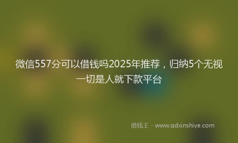 微信557分可以借钱吗2025年推荐，归纳5个无视一切是人就下款平台