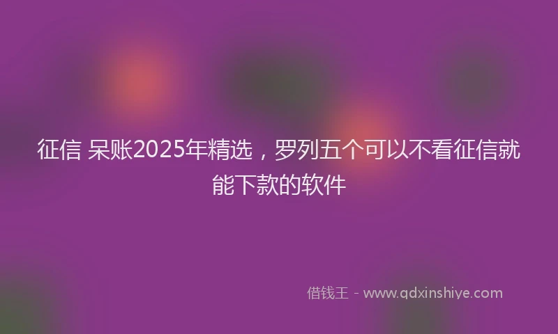 征信 呆账2025年精选，罗列五个可以不看征信就能下款的软件
