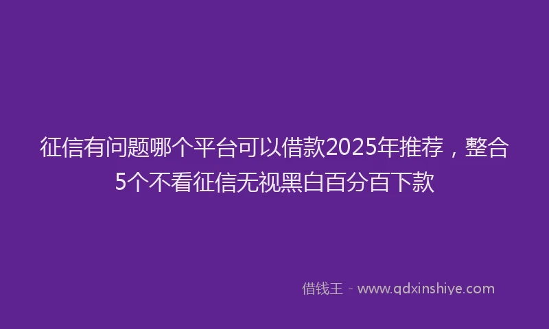 征信有问题哪个平台可以借款2025年推荐，整合5个不看征信无视黑白百分百下款