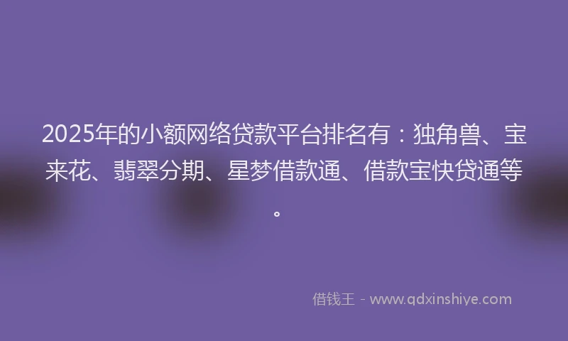 2025年的小额网络贷款平台排名有：独角兽、宝来花、翡翠分期、星梦借款通、借款宝快贷通等。