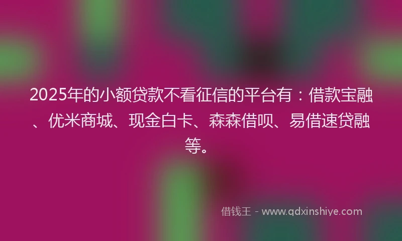 2025年的小额贷款不看征信的平台有：借款宝融、优米商城、现金白卡、森森借呗、易借速贷融等。