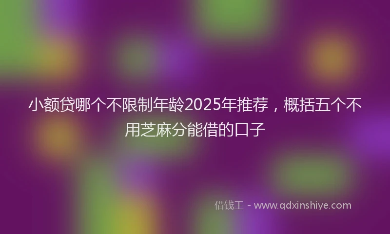 小额贷哪个不限制年龄2025年推荐，概括五个不用芝麻分能借的口子