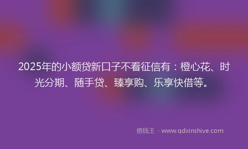 2025年的小额贷新口子不看征信有：橙心花、时光分期、随手贷、臻享购、乐享快借等。