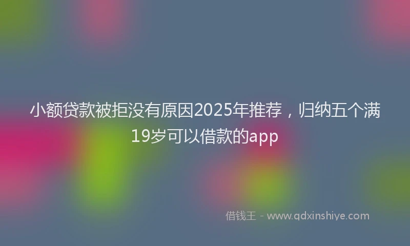 小额贷款被拒没有原因2025年推荐，归纳五个满19岁可以借款的app