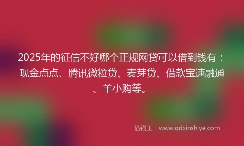 2025年的征信不好哪个正规网贷可以借到钱有：现金点点、腾讯微粒贷、麦芽贷、借款宝速融通、羊小购等。