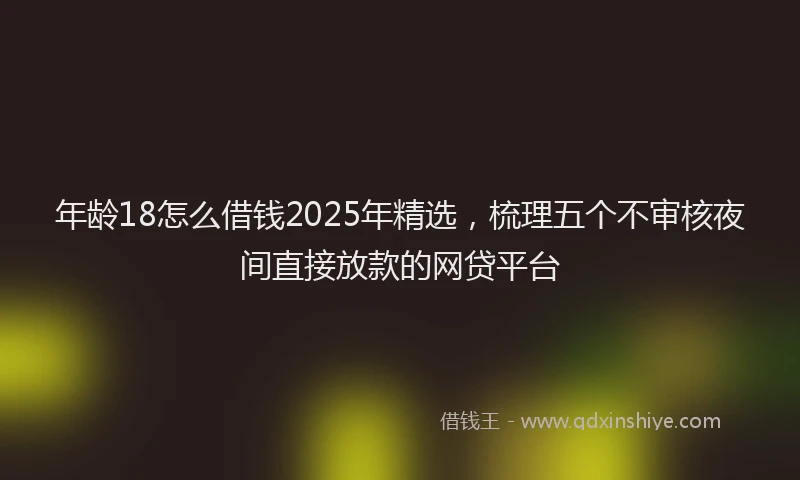 年龄18怎么借钱2025年精选，梳理五个不审核夜间直接放款的网贷平台