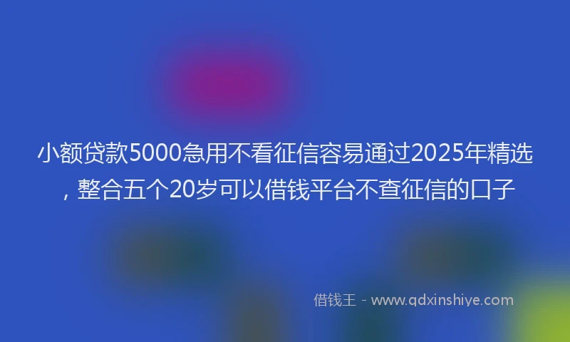 小额贷款5000急用不看征信容易通过2025年精选，整合五个20岁可以借钱平台不查征信的口子
