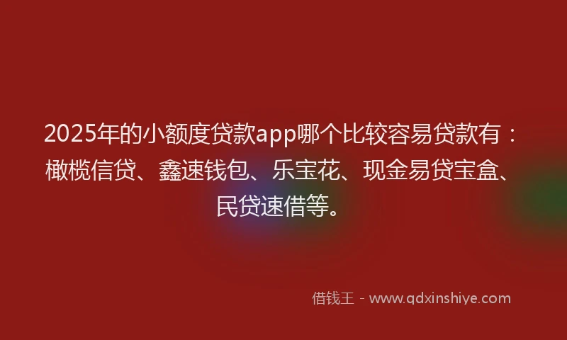 2025年的小额度贷款app哪个比较容易贷款有：橄榄信贷、鑫速钱包、乐宝花、现金易贷宝盒、民贷速借等。