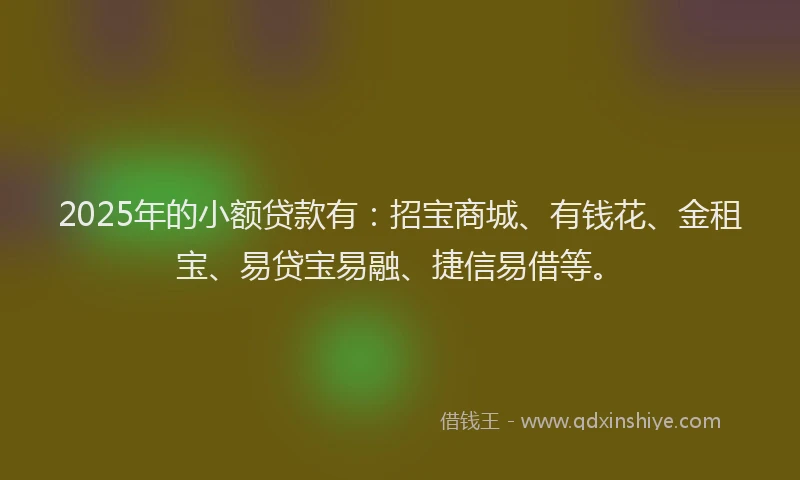 2025年的小额贷款有：招宝商城、有钱花、金租宝、易贷宝易融、捷信易借等。
