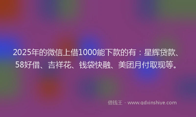 2025年的微信上借1000能下款的有：星辉贷款、58好借、吉祥花、钱袋快融、美团月付取现等。