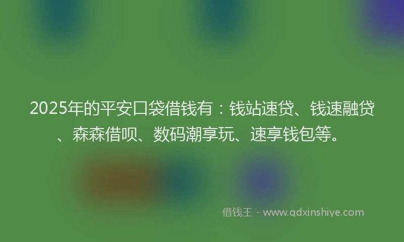 2025年的平安口袋借钱有：钱站速贷、钱速融贷、森森借呗、数码潮享玩、速享钱包等。