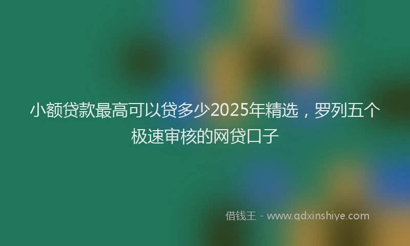 小额贷款最高可以贷多少2025年精选，罗列五个极速审核的网贷口子