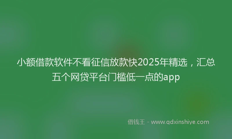 小额借款软件不看征信放款快2025年精选，汇总五个网贷平台门槛低一点的app