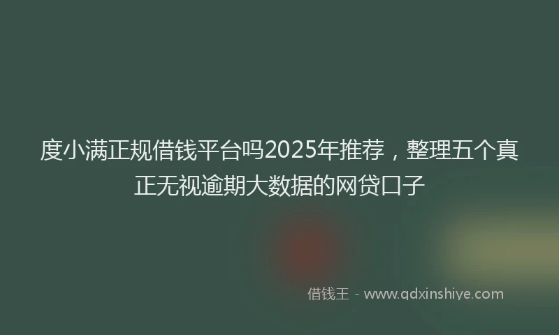度小满正规借钱平台吗2025年推荐，整理五个真正无视逾期大数据的网贷口子