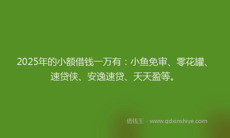 2025年的小额借钱一万有：小鱼免审、零花罐、速贷侠、安逸速贷、天天盈等。