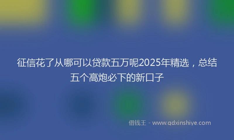 征信花了从哪可以贷款五万呢2025年精选，总结五个高炮必下的新口子