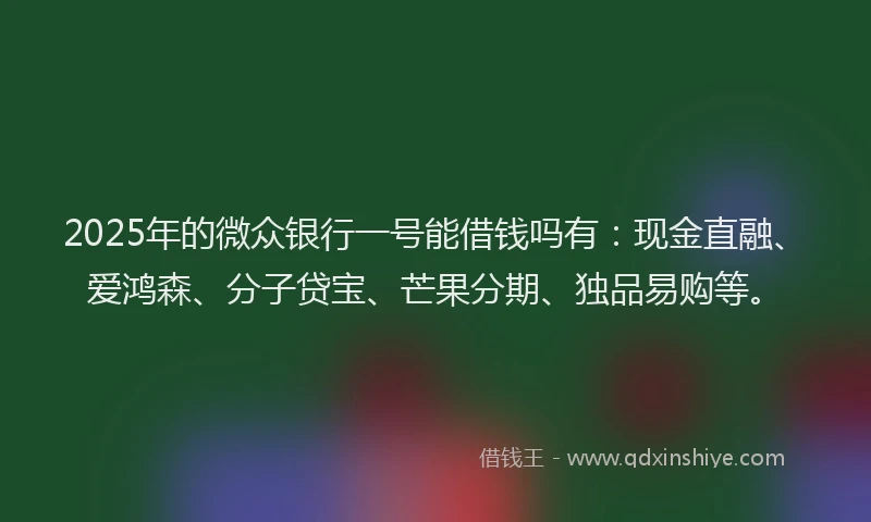 2025年的微众银行一号能借钱吗有：现金直融、爱鸿森、分子贷宝、芒果分期、独品易购等。