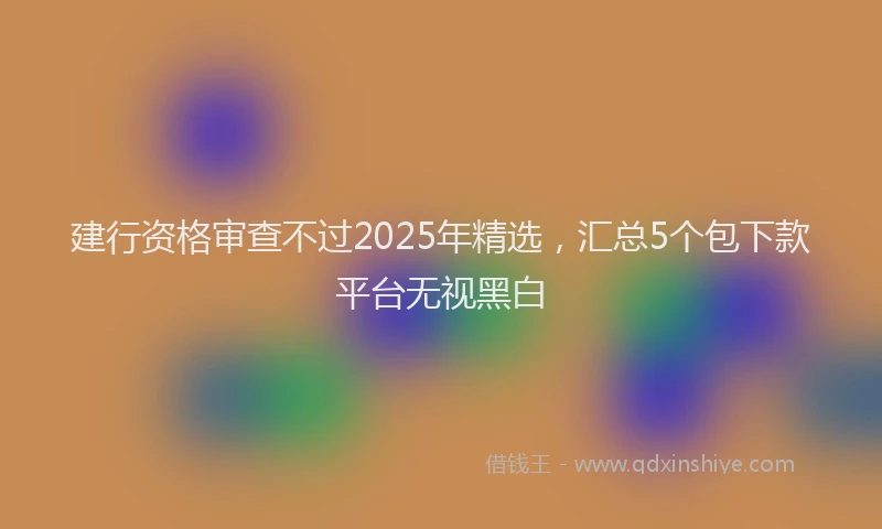 建行资格审查不过2025年精选，汇总5个包下款平台无视黑白