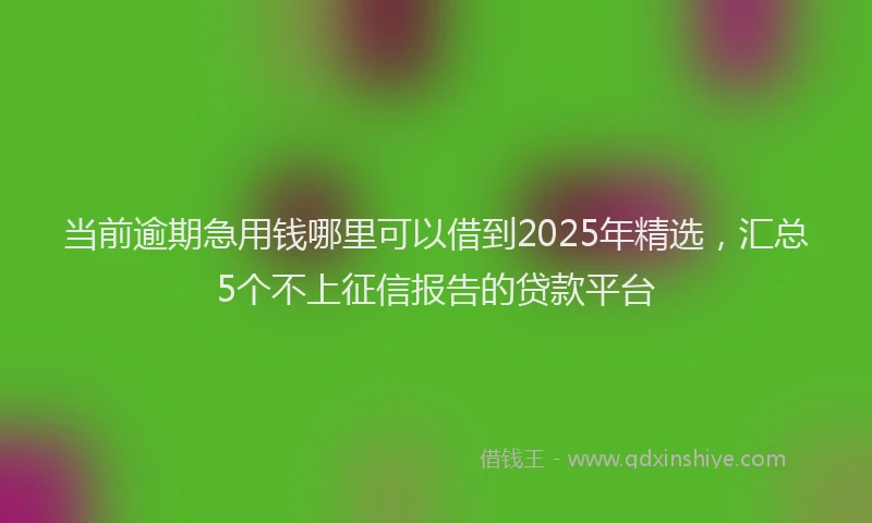 当前逾期急用钱哪里可以借到2025年精选，汇总5个不上征信报告的贷款平台