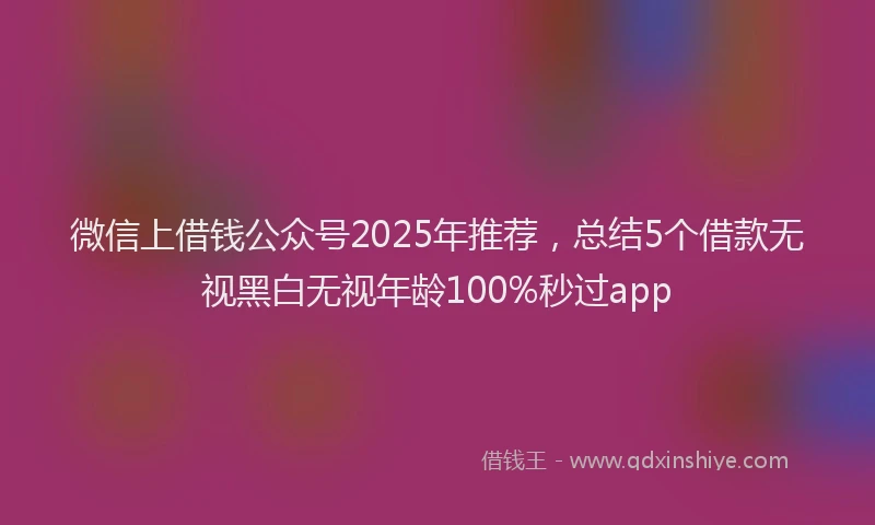 微信上借钱公众号2025年推荐，总结5个借款无视黑白无视年龄100%秒过app