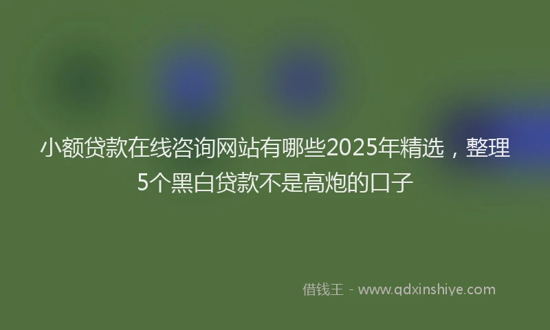 小额贷款在线咨询网站有哪些2025年精选，整理5个黑白贷款不是高炮的口子
