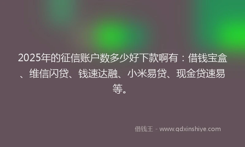 2025年的征信账户数多少好下款啊有：借钱宝盒、维信闪贷、钱速达融、小米易贷、现金贷速易等。