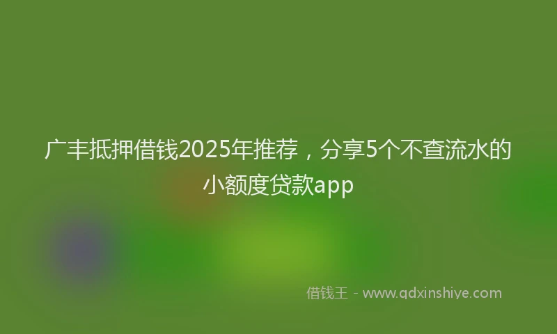 广丰抵押借钱2025年推荐，分享5个不查流水的小额度贷款app