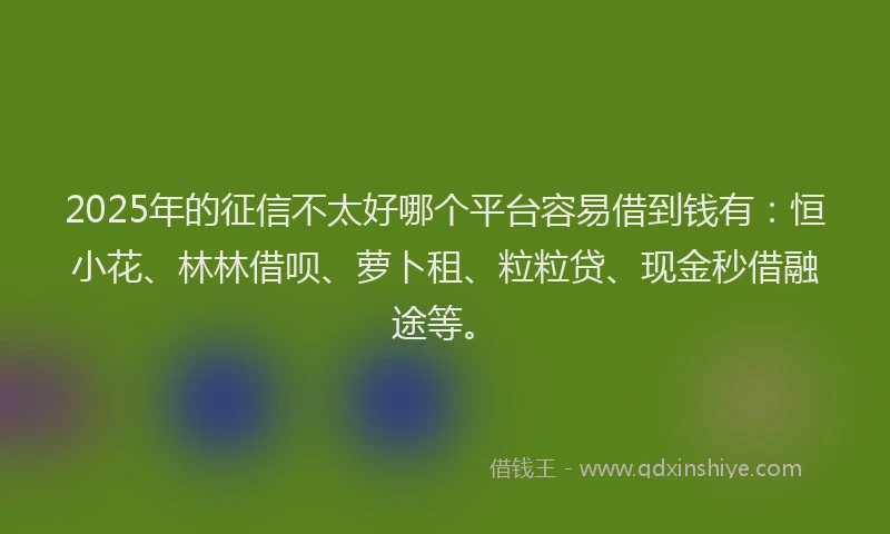 2025年的征信不太好哪个平台容易借到钱有：恒小花、林林借呗、萝卜租、粒粒贷、现金秒借融途等。