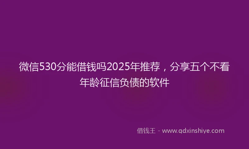 微信530分能借钱吗2025年推荐，分享五个不看年龄征信负债的软件