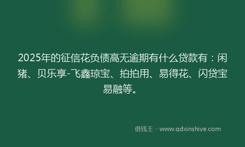 2025年的征信花负债高无逾期有什么贷款有：闲猪、贝乐享-飞鑫琼宝、拍拍用、易得花、闪贷宝易融等。