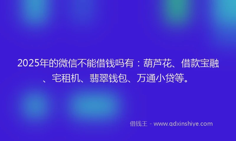 2025年的微信不能借钱吗有：葫芦花、借款宝融、宅租机、翡翠钱包、万通小贷等。
