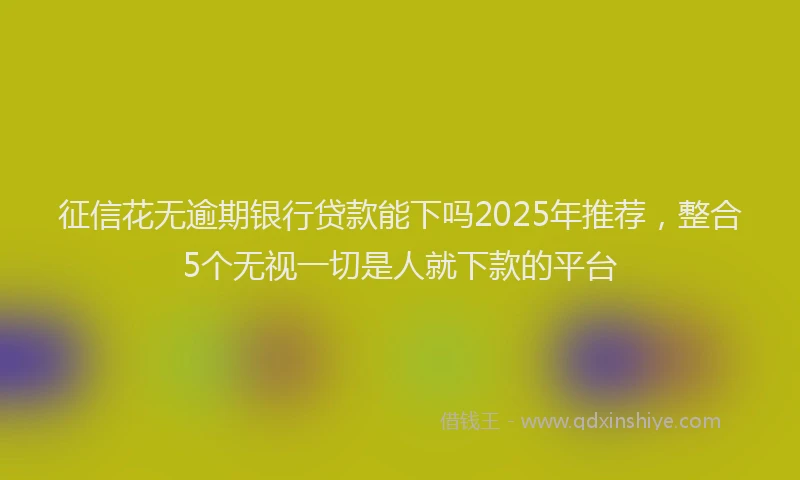 征信花无逾期银行贷款能下吗2025年推荐，整合5个无视一切是人就下款的平台