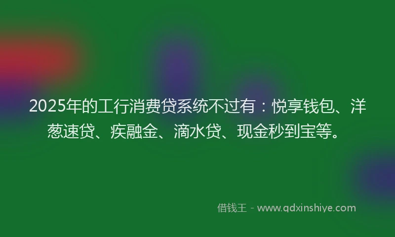 2025年的工行消费贷系统不过有：悦享钱包、洋葱速贷、疾融金、滴水贷、现金秒到宝等。