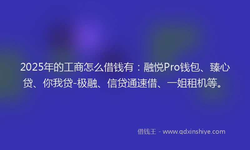 2025年的工商怎么借钱有：融悦Pro钱包、臻心贷、你我贷-极融、信贷通速借、一姐租机等。