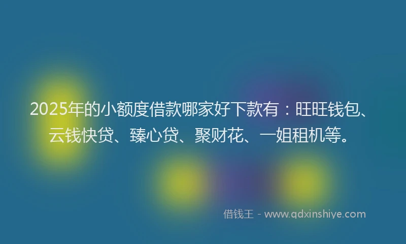 2025年的小额度借款哪家好下款有：旺旺钱包、云钱快贷、臻心贷、聚财花、一姐租机等。